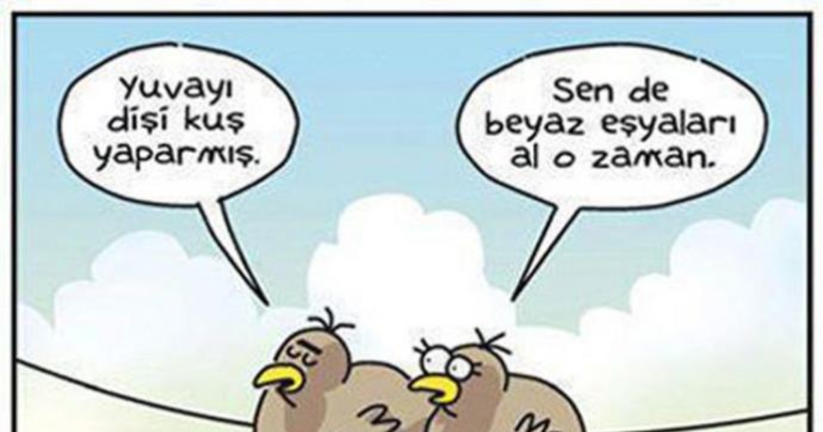 Yuvayı Dişi Kuş mu Yapar Yuvayı Dişi Kuş mu Yapar