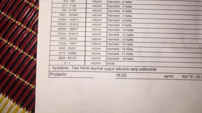 Gebelik durumu var mı bakarmısınız?