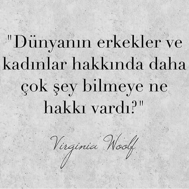 "Hayata neyle başlarsan başla, elinde çok az şey kalıyor. Gurur ve aptallık." diyen Woolf' a sizin vereceğiniz cevap nedir?