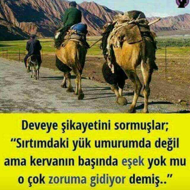 arkadaşlar burada ne demek istemiştir ??