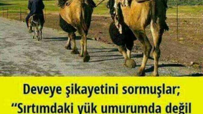 Arkadaşlar burada ne demek istemiştir?