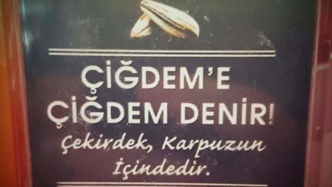 Size göre çiğdem midir çekirdek mi?