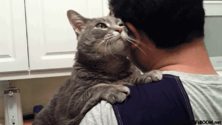Kedi gibi okşanmak istiyorum?