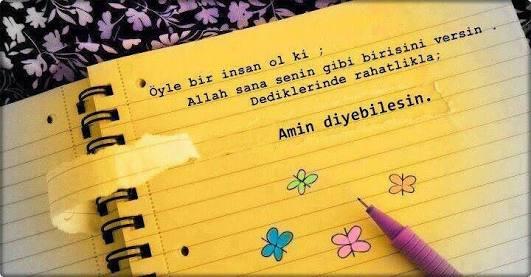 Allah karşına senin gibi insanları çıkartsın denildiğin de amin diye bilirmisin? bu sana edilmiş bir dua mı yoksa Bedua mı?
