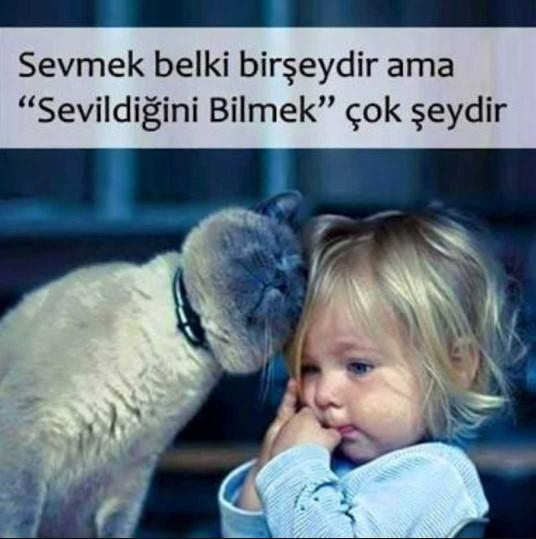 Mesele sevgili olmak mı yoksa sevmek sevilmek mi??