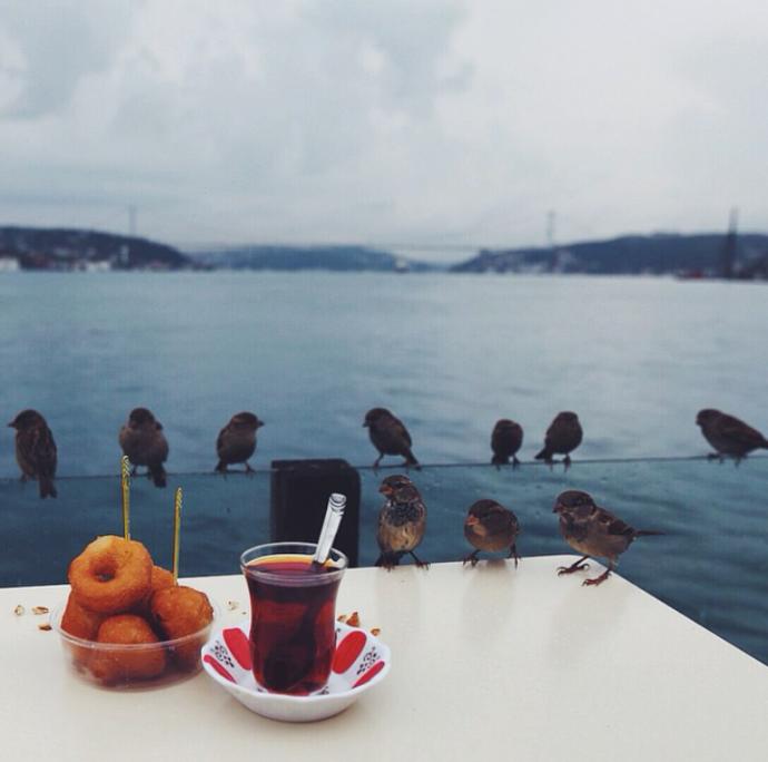 Özlemlere çay koysak, vuslata dem tutar mıyız?
