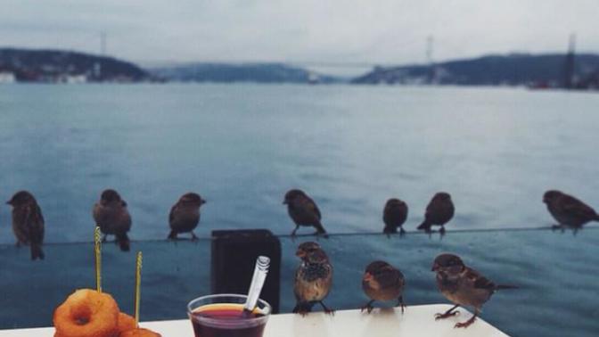Özlemlere çay koysak, vuslata dem tutar mıyız?