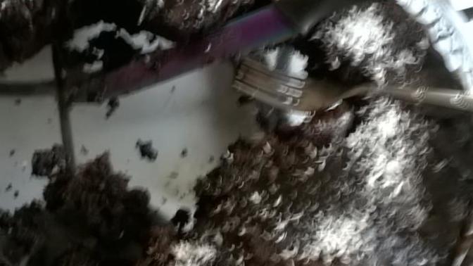 Kakaolu kek yaptım tadı acı oldu neden sizce resimli?