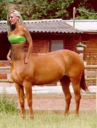 At gibi hatun nasıl olur?