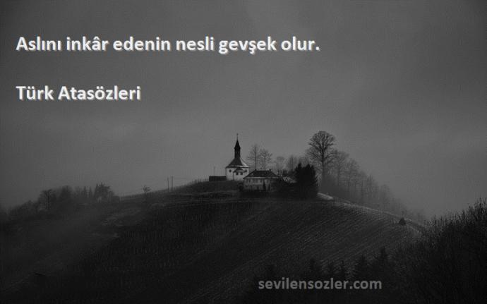 Aslını inkâr edermisin ve aslını inkâr eden insanlara bakış açınız nedir?
