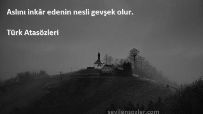 Aslını inkâr edermisin ve aslını inkâr eden insanlara bakış açınız nedir?
