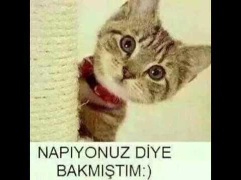 Napıyonuz yavrilerrr?
