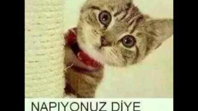 Napıyonuz yavrilerrr?