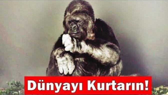 Hayvanlar Konuşabilseydi Bizlere Neler Söylerlerdi?