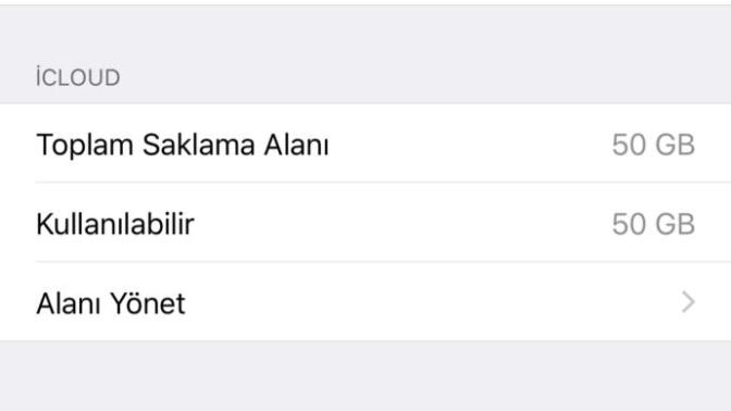 Allah belasını versin bu iPhone'un!!! Nolur yardım edin?