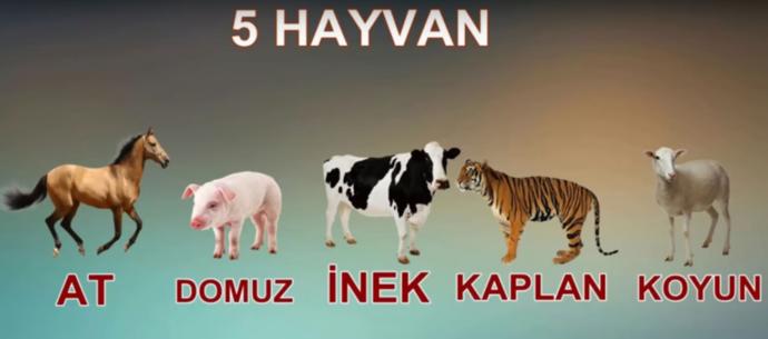 Bilinçaltınız neler söylüyor neye daha çok önem verdiğinizi söylemek istiyorum ?