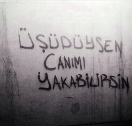 Şimdiye kadar rastladığınız en güzel duvar yazısı?