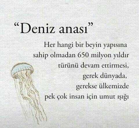 Bilimsel araştırmalar yapmak istiyorum neyi araştırayım?