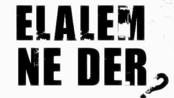 Elalem ne der?