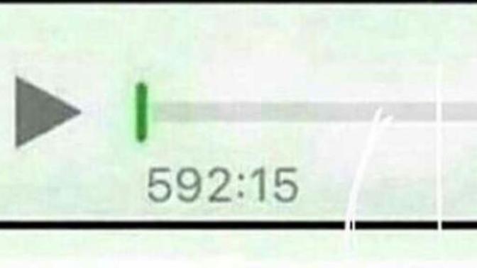 Whatsapp ses kaydı sınırı?