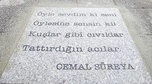 Cemal Süreya Şiirleri mi daha güzel,  Özdemir Asaf şiirleri mi ?