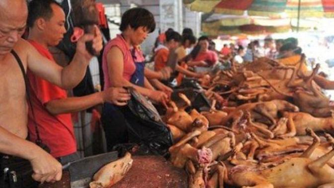 Çinlilerin köpek eti yeme âdetini ''ahlaksızlık'' olarak görüyor musunuz?