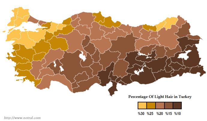 Türkiye ve saç rengi. Bu harita doğru mu sizce?