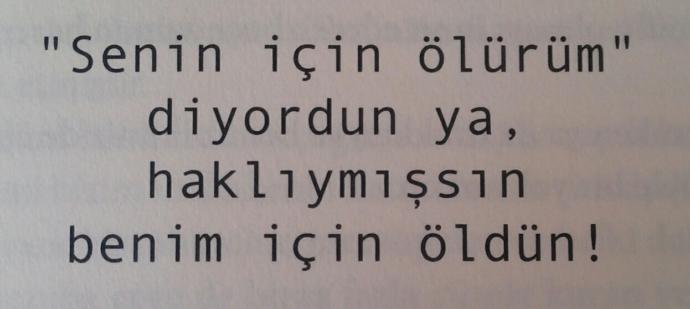 Senin için ölürüm diyenler şimdi neredeler ?