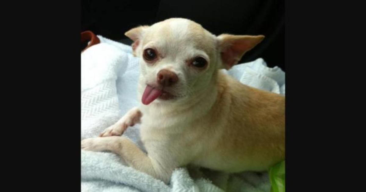 en urkutucu gulumseme hangisi sizce kizlarsoruyor