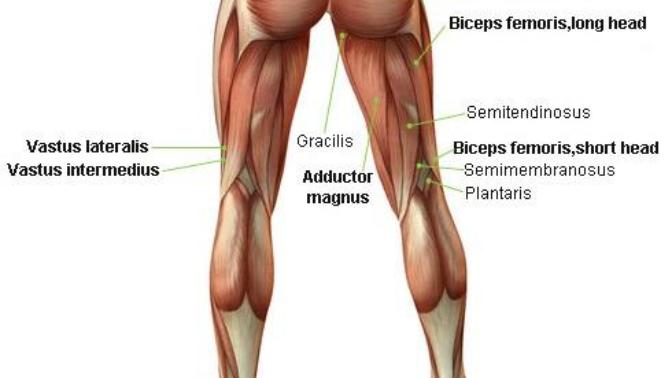 Squat nedir, nasıl yapılır ve faydaları nelerdir? Squat hakkında doğru bilinen yanlışlar?