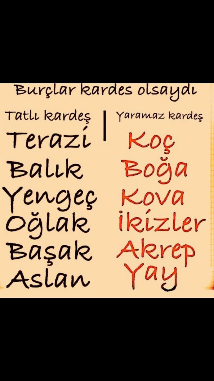 Burçlar kardeş olsaydı nasıl olurdu 😊?