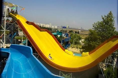 Aqua marine mi yoksa aqua dolphin mi?