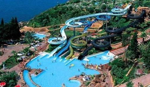 Aqua marine mi yoksa aqua dolphin mi ?