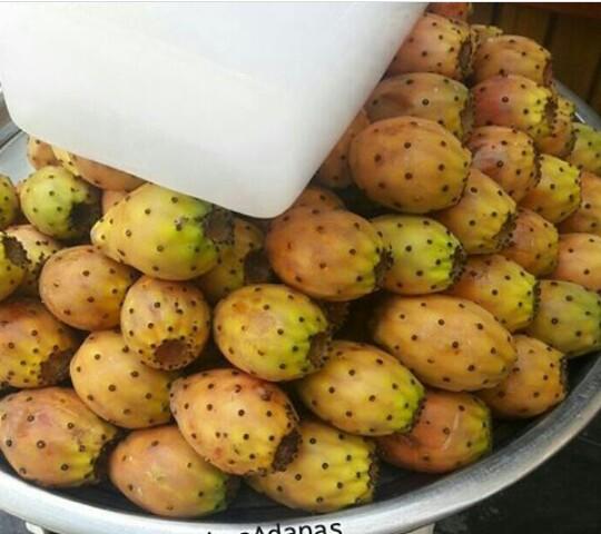 Adana'lılar iyi bilir bu lezzeti, peki siz denediniz mi ?