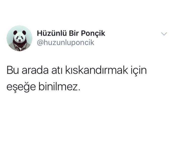 Kıskandırmak için eşeğe binilir mi😂🐣?