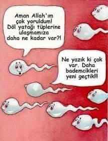 spermler