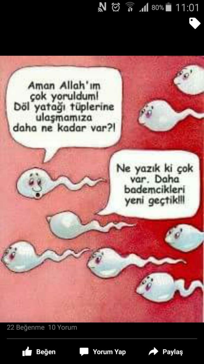spermler karikatür