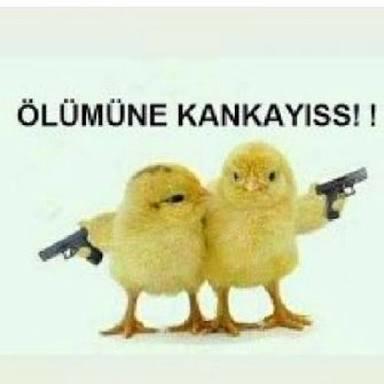 Kadın ve erkekten kanka olur mu? Sürekli yanyana olup, sırdaşlik, ağlayacak bir omuz ve 0 etkileşim. Sizce mümkün mü?