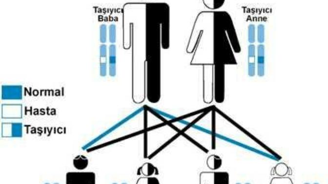 Akraba evliliğine bakış açınız nedir?