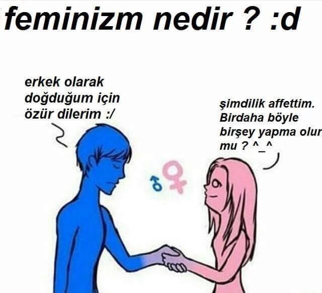 Feminaziler hakkında ne düşünüyorsunuz?