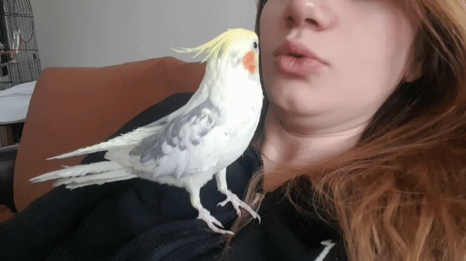 Sizinde kusunuz var mi ?