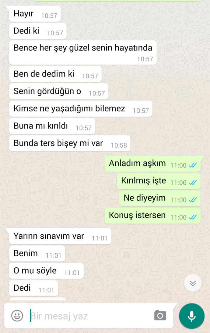 Sevgilim bu kadar kızmakta haklı mı sizce? Whatsapp konuşmaları?