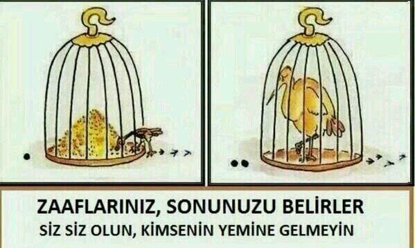 Zaaflarınız var mı.. Belli eder misiniz?