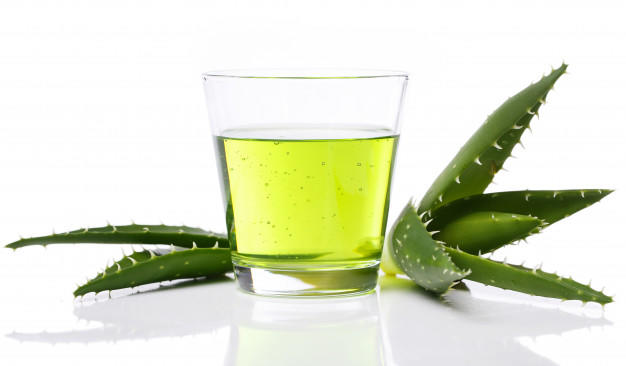 aloe vera nerede satılır