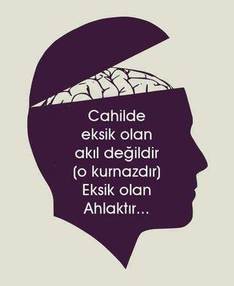 "Cahilde eksik olan akıl değildir (o kurnazdır) eksik olan ahlaktır..." Ne düşünüyorsunuz bu söz hakkında? Doğru mu sizce?