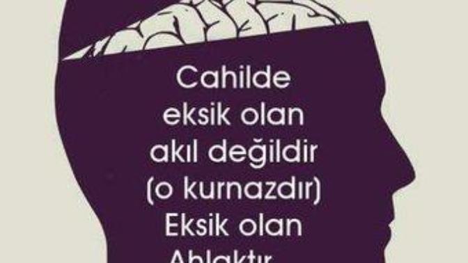 "Cahilde eksik olan akıl değildir (o kurnazdır) eksik olan ahlaktır..." Ne düşünüyorsunuz bu söz hakkında? Doğru mu sizce?