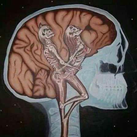 En sevdiğiniz cinsel içerikli karikatürler neler ??