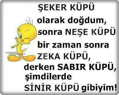 Ne kadar sinirlisin??
