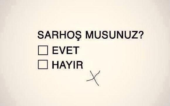 Alkol kullanıyor musunuz ?
