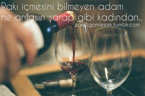 'Rakı içmesini bilmeyen adam ne anlasın şarap gibi kadından' sözüne katılıyor musunuz?
